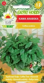 kawa-arabska-do-uprawy-doniczkowej-nasiona-kwawy-toraf