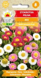 stokrotka-pelna-mieszanka-mix-kolorow-nasiona-stokrotki-toraf