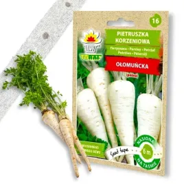pietruszka-olomuncka-pozna-nasiona-na-tasmie-6m-tasma-toraf