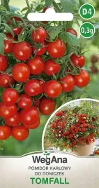 pomidor-tomfal-uprawa-na-balkonach-tarasach-cherry-nasiona-pomidora-wegana