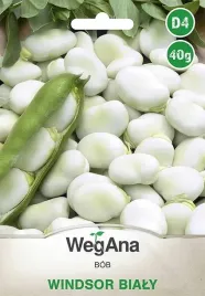 bob-windsor-bialy-nasiona-bobiu-plenny-wegana