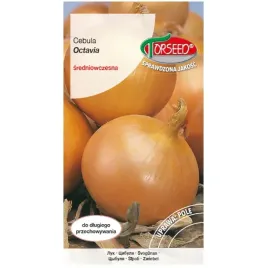 cebula-octavia-plenna-nasiona-na-tasmie-5m-nasion-tasma-torseed