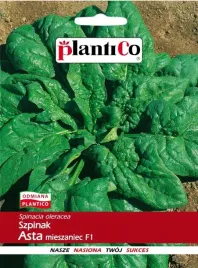 szpinak-asta-mieszaniec-uprawa-w-3-terminach-f1-nasiona-plantico