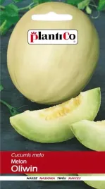 melon-oliwin-odmiana-wczesna-nasiona-plantico