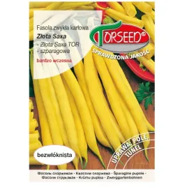 fasola-zlota-saxa-nasiona