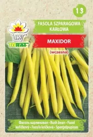 fasola-szparagowa-maxidor-bezwloknista-nasiona