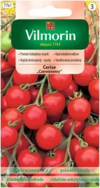 pomidor-koktajlowy-wysoki-cerise-czeresniowy-bardzo-plenny-vilmorin