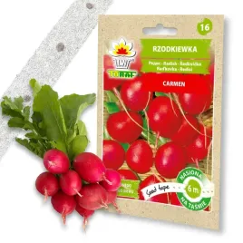 rzodkiewka-carmen-nasiona-na-tasmie-6m-tasma-swieze-nasiona