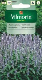 mieta-meksykanska-bogata-w-olejki-eteryczne-vilmorin