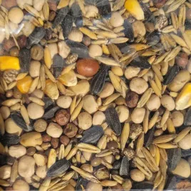 mieszanka-straczkowa-mix-7-paszowa-na-poplon-1kg