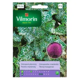 ostropest-plamisty-2m-wysokosci-nasiona-vilmorin