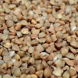 gryka-zwyczajna-eko-100g-nasiona-gryki-poplon