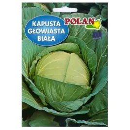 kapusta-glowiasta-biala-jasper-f1-nasiona-polan