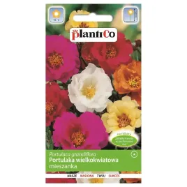 portulaka-wielkokwiatowa-mieszanka-kolorow-nasiona-kwiatow-plantico