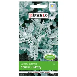 starzec-roslina-o-duzym-walorze-estetycznym-nasiona-plantico