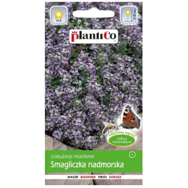smagliczka-nadmorska-rozowo-fioletowa-nasiona-plantico