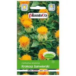 krokosz-barwierski-kwiaty-zolto-miodowe-nasiona-plantico