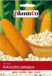 kukurydza-pekajaca-jantar-10g-na-popcorn-nasiona