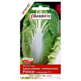 kapusta-pekinska-polstar-nasiona-kapusty-plantico