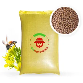 gorczyca-biala-25kg-na-poplon-nasiona-miododajna