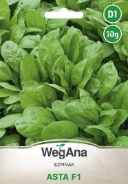 szpinak-asta-szybko-rosnacy-f1-wczesny-10g-wegana