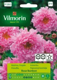kosmos-pelny-rose-bonbon-pelne-kwiaty-rozowy-nasiona-vilmorin