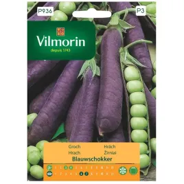 groch-blauwschokker-fioletowe-straki-nasiona-20g-vilmorin