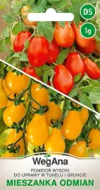 pomidor-mix-odmian-cherry-owoce-ksztalt-gruszki