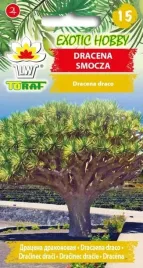 dracena-smocza-nasiona-dlugowieczne-drzewo