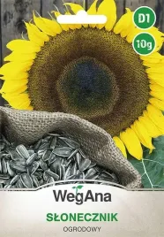 slonecznik-ogrodowy-nasiona-jadalny-wysoki
