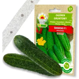 ogorek-sremski-f1-nasiona-na-tasmie-7m-tasma-toraf