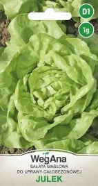 salata-julek-nasiona-salaty-warzyw-odmiana-maslowa-wegana