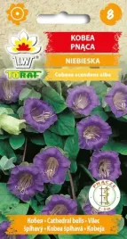 kobea-pnaca-fioletowa-nasiona