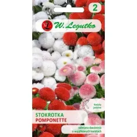stokrotka-pospolita-pomponette-mieszanka-nasiona-mix-kolorow