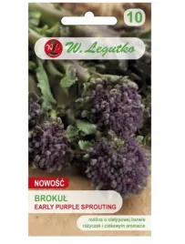 brokul-early-mrozoodporny-fioletowy-purple-sprouting