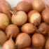 Kolor / wzór produktu #5