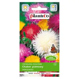 chaber-pizmowy-mix-kolorow-roslina-miododajna-nasiona-plantico