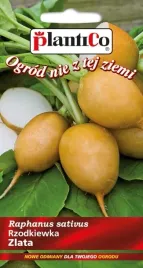 rzodkiewka-zlata-nasiona-zloto-zolta-barwa-5g-plantico