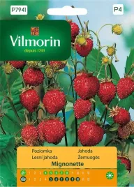 poziomka-mignonette-nasiona-01g-wyjatkowy-smak-i-aromat-owocow-vilmorin