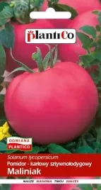 pomidor-karlowy-maliniak-samokonczacy-nasiona