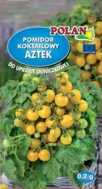 pomidor-aztek-zolty-koktajlowy-nasiona-pomidorow