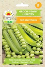 groch-luskowy-cud-kalvedonu-nasiona-grochu