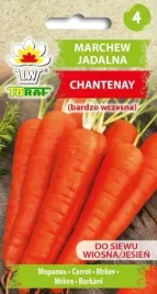 marchew-chantenay-nasiona-warzwyw-bardzo-wczesna