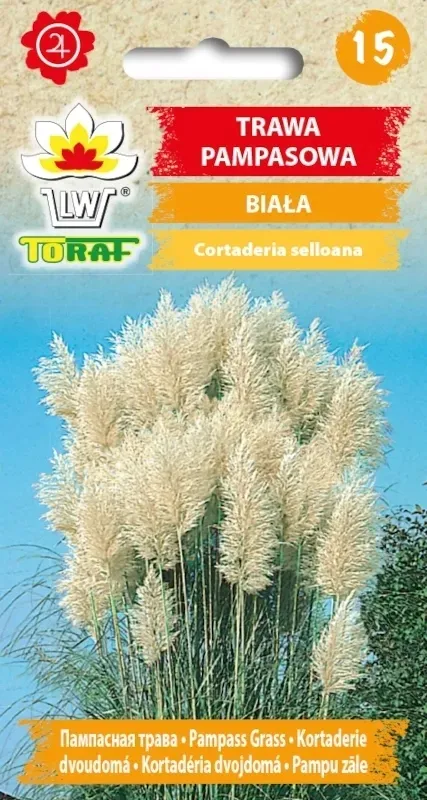 trawa-pampasowa-biala-nasiona