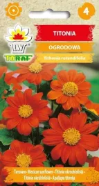titonia-pomaranczowa-na-wysokie-rabaty-nasiona