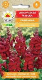 lwia-paszcza-karminowa-czerwona-nasiona