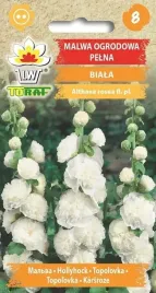 malwa-ogrodowa-biala-nasiona-kwiatow