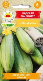 gabczak-walcowaty-luffa-nasiona-kwiatow