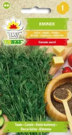 kminek-zwyczajny-do-uprawy-w-ogrodzie-nasiona