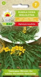 rukola-dzika-wieloletnia-rokietta-nasiona